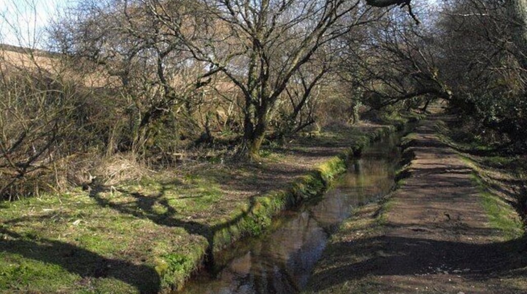 Drain, Treesmill Valley Bridleway 425/6/2 runs alongside the drainage channel, here approaching the track up to Lanescot.