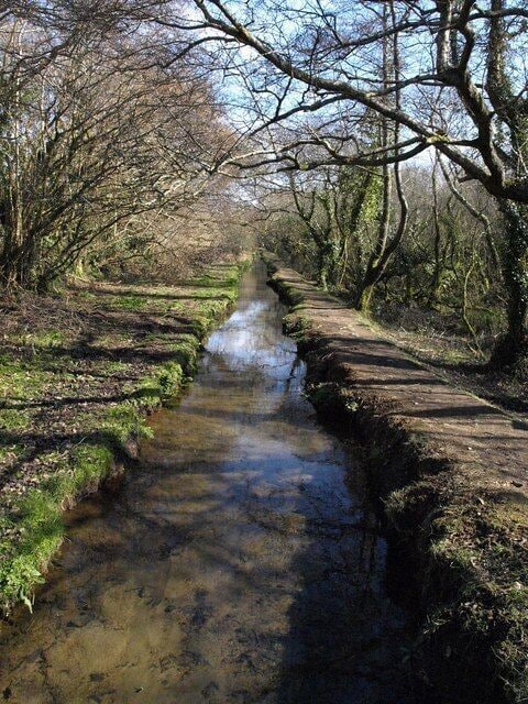 Drain, Treesmill Valley. Looking upstream from 1756567 along the drain, with bridleway 425/6/2 running along the edge, and wet woodland to the right.