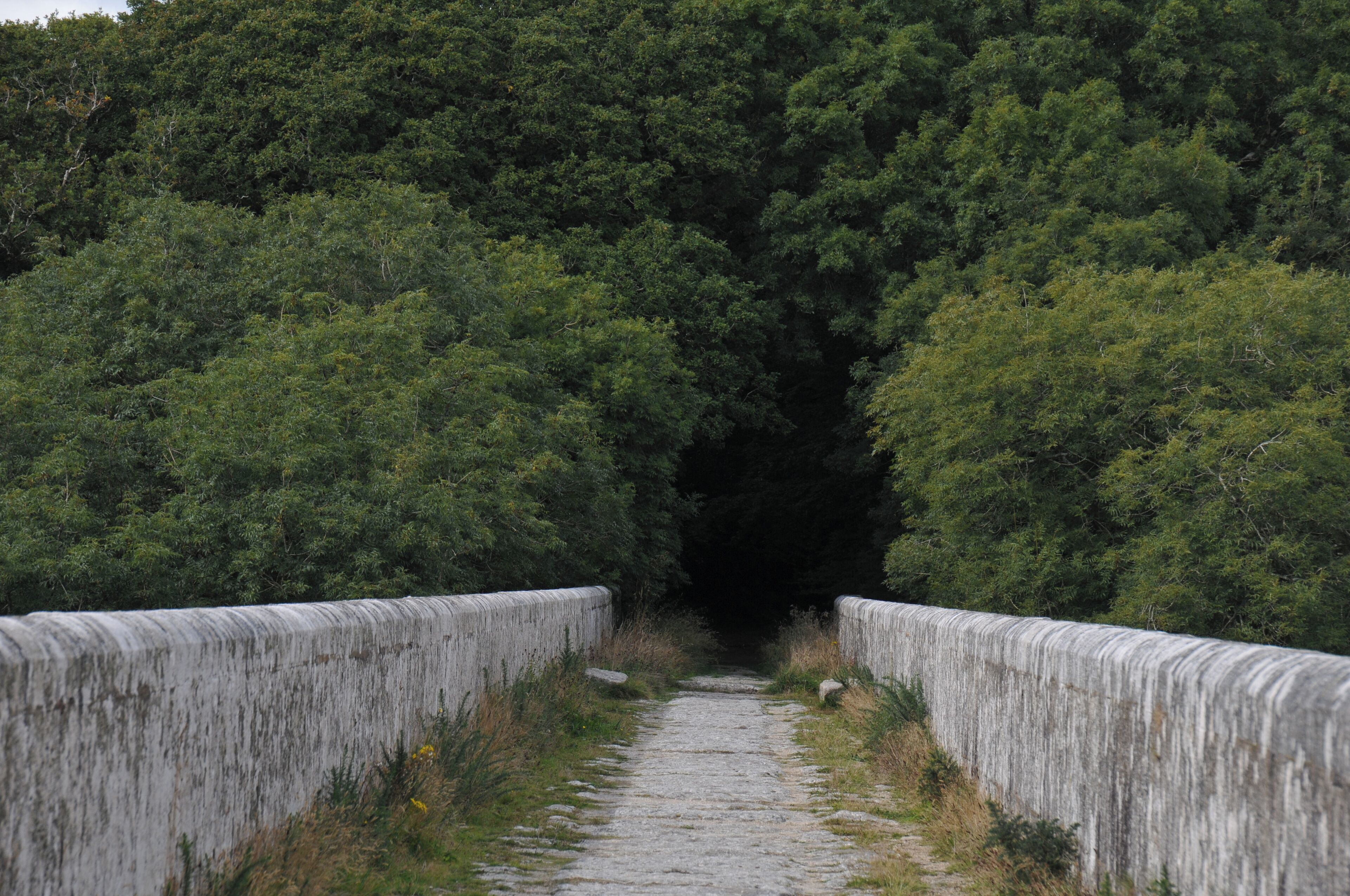 The Treffry Viaduct, an abandoned railroad bridge over the Luxulyan Valley in Cornwall.