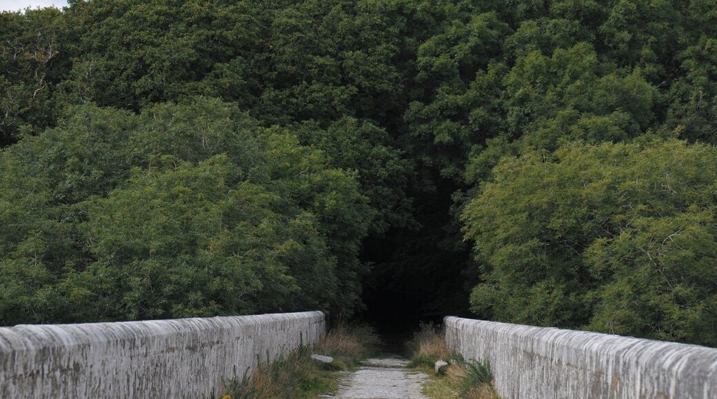 The Treffry Viaduct, an abandoned railroad bridge over the Luxulyan Valley in Cornwall.