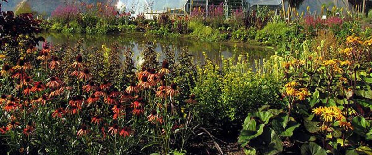 The end Biome. This biome, closest to the exit, contains plants from Southern Africa.