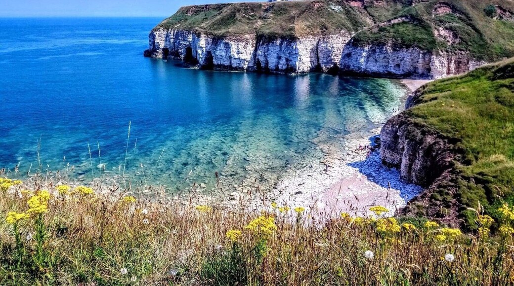 Head South along the cliffs towards Flamborough Head and discover the many bays, some accessible, some only accessible to birds.