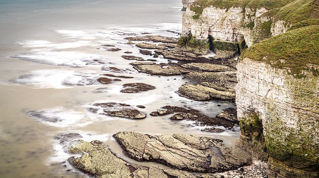 Head Shrink
Flamborough Head, 15 October 2019.
#landscapephotography #photography #Coast #Seascapes #cliffs