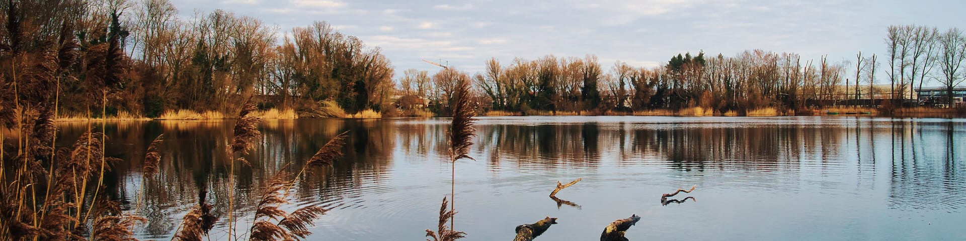 Lake in Autumn - See - Wasser - Seascape - Morgens - Postkarte - Karte - Hintergrund - Background - Mittenwalde - Brandenburg - Germany - Tonsee