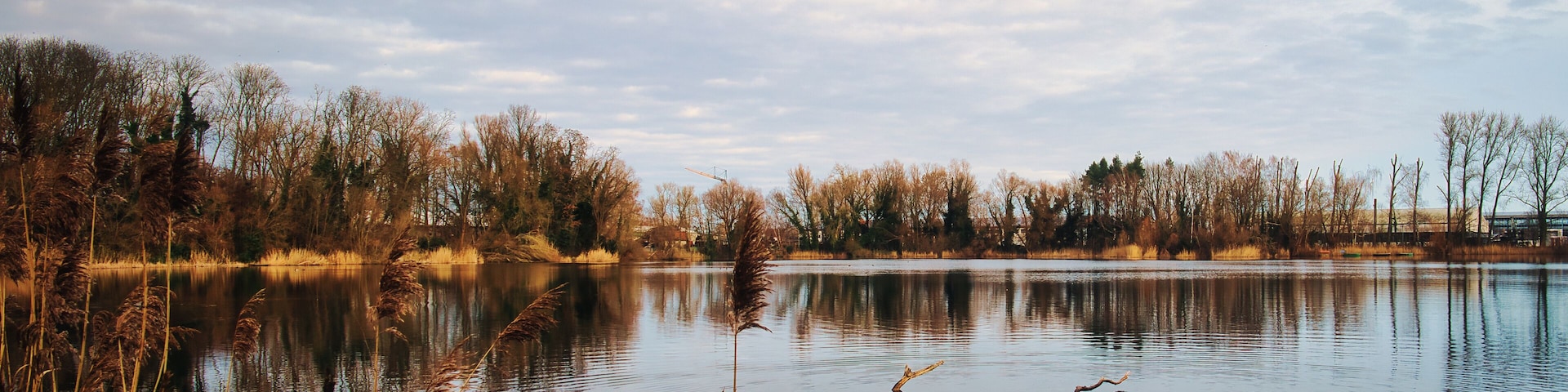 Lake in Autumn - See - Wasser - Seascape - Morgens - Postkarte - Karte - Hintergrund - Background - Mittenwalde - Brandenburg - Germany - Tonsee