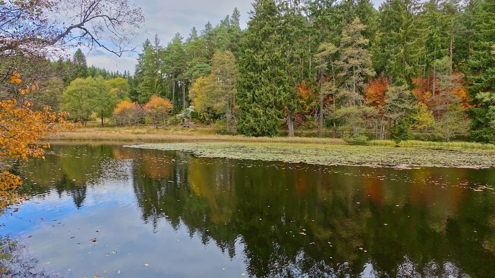 A calm lake surrounded by trees with autumn foliage, reflecting the sky and trees.