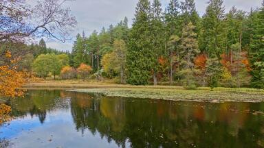 A calm lake surrounded by trees with autumn foliage, reflecting the sky and trees.