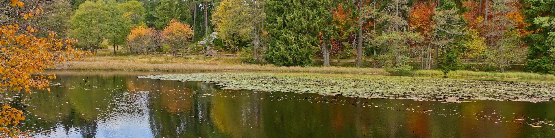 Naturschutzgebiet Schlüchtsee