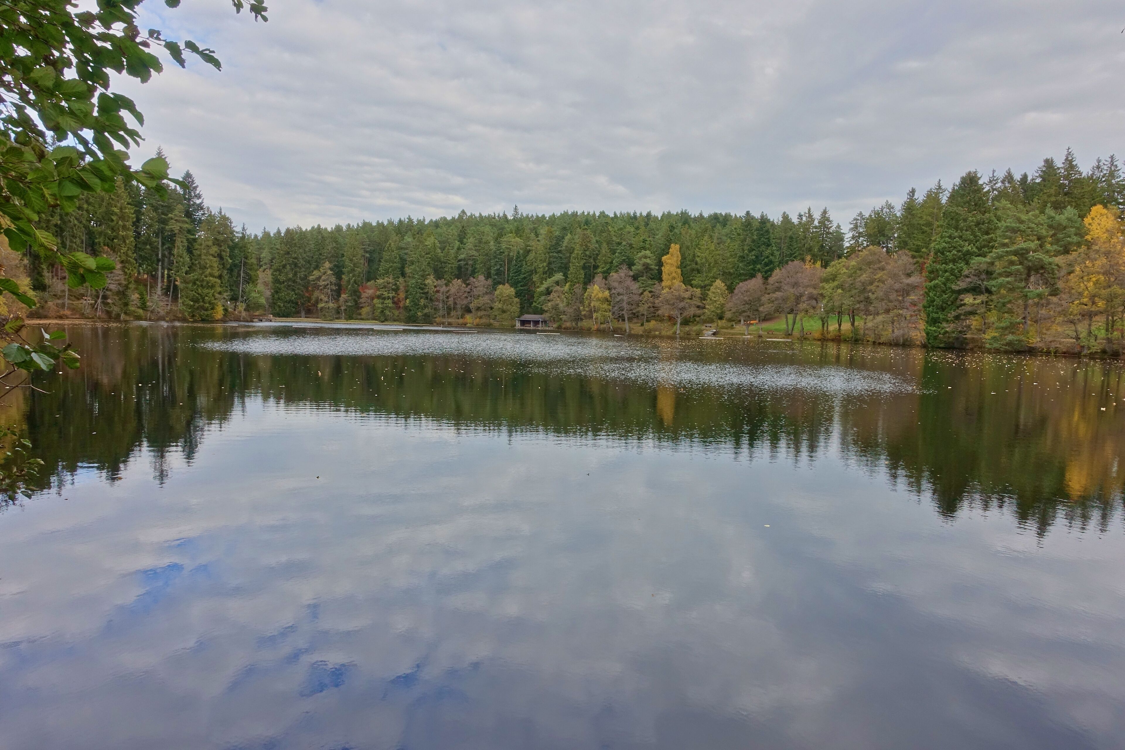 Naturschutzgebiet Schlüchtsee
