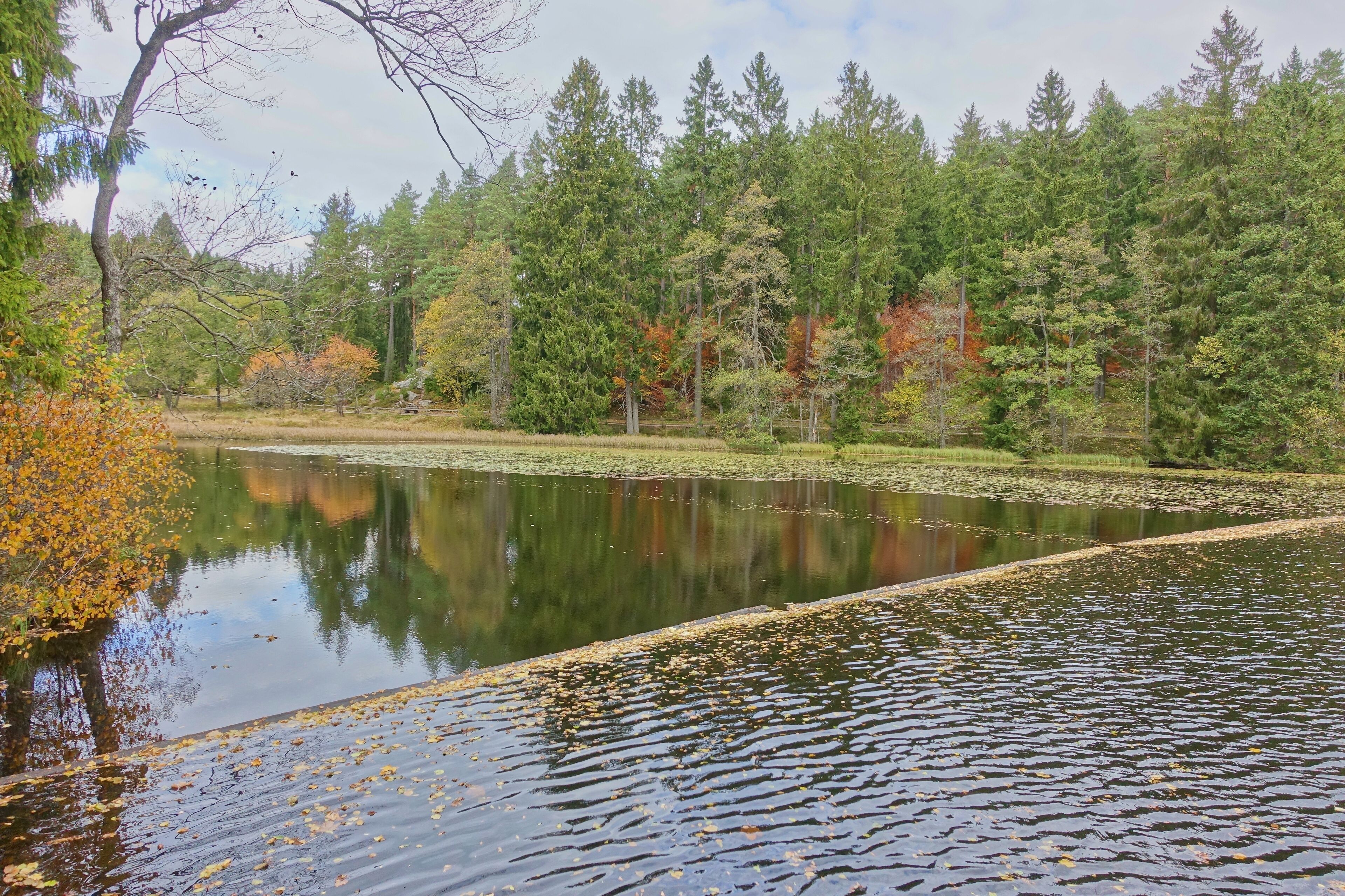 Naturschutzgebiet Schlüchtsee