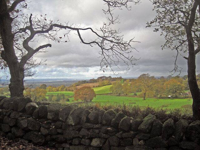 Drystone wall & shallow valley