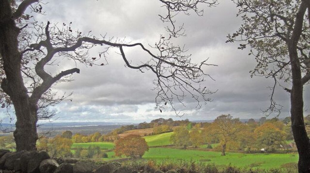 Drystone wall & shallow valley