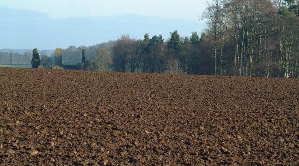 Moncur Castle. All that is now left of the red-stone, late 16th century castle of Moncur,