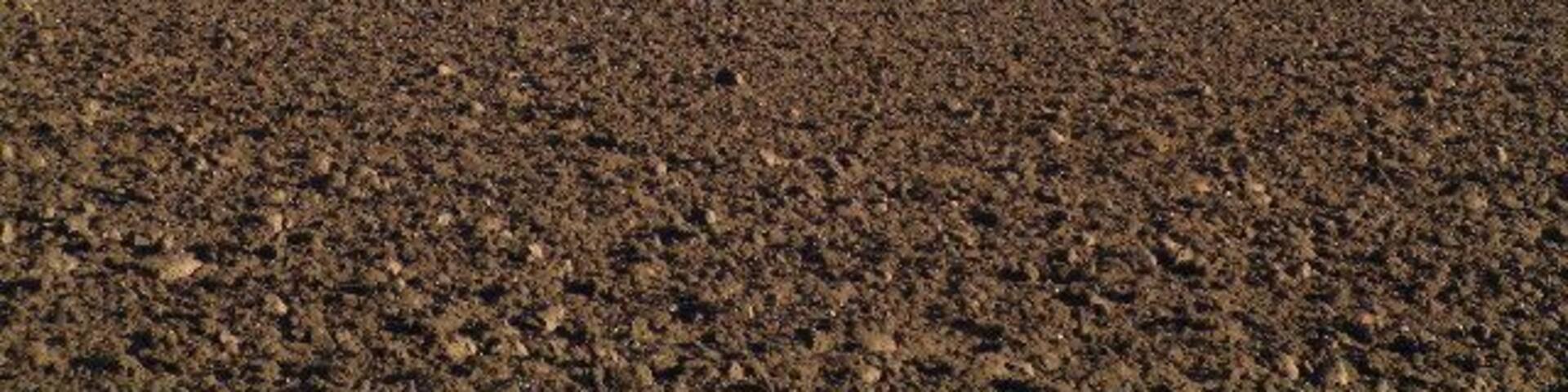 Moncur Castle. All that is now left of the red-stone, late 16th century castle of Moncur,