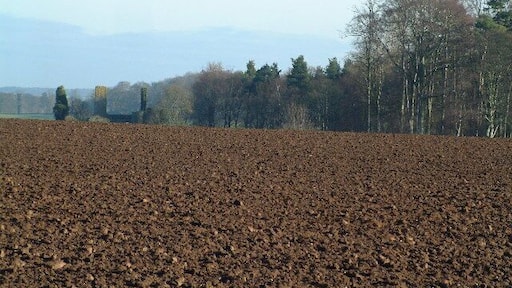 Moncur Castle. All that is now left of the red-stone, late 16th century castle of Moncur,
