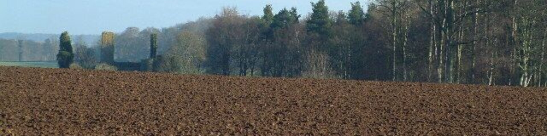 Moncur Castle. All that is now left of the red-stone, late 16th century castle of Moncur,