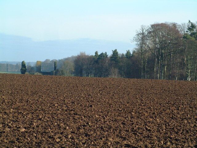 A plowed field with trees and a distant building in the background.