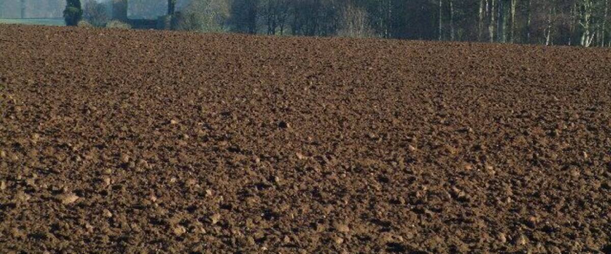 A plowed field with trees and a distant building in the background.
