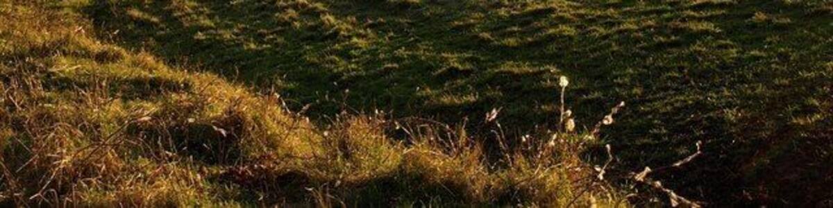 Ein Flusstal mit einer Stadt am gegenüberliegenden Ufer, sanften Hügeln und einem grasbewachsen Vordergrund.