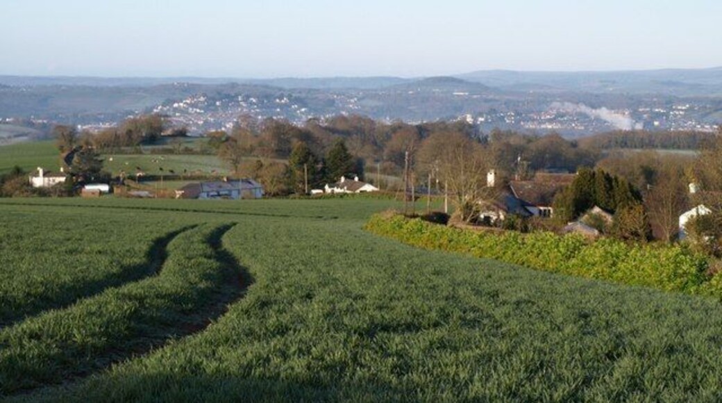 Field by Rowden Cross. Taken close to 120111, which commands extensive views westwards. The tramlines are running parallel to the lane to Kingsteignton, on the right. The houses on the left are around Colway Cross, in SX8974. The view beyond includes part of Newton Abbot.