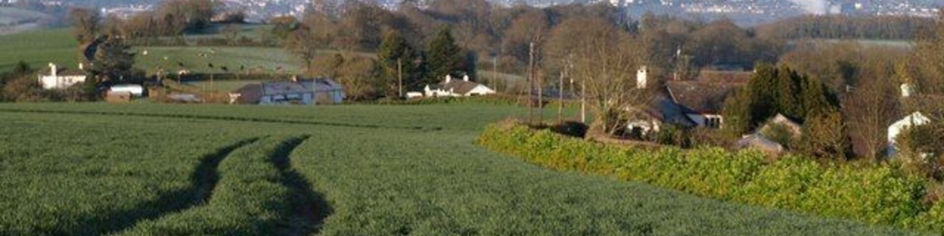 A rural landscape with green fields, scattered houses, and a distant town.