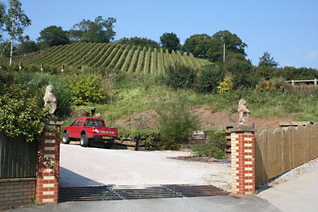 Old Walls Vineyard Looking uphill from the vineyard entrance.