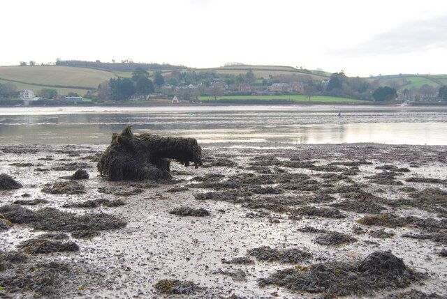 River Teign Debris on the banks of the River Teign.
