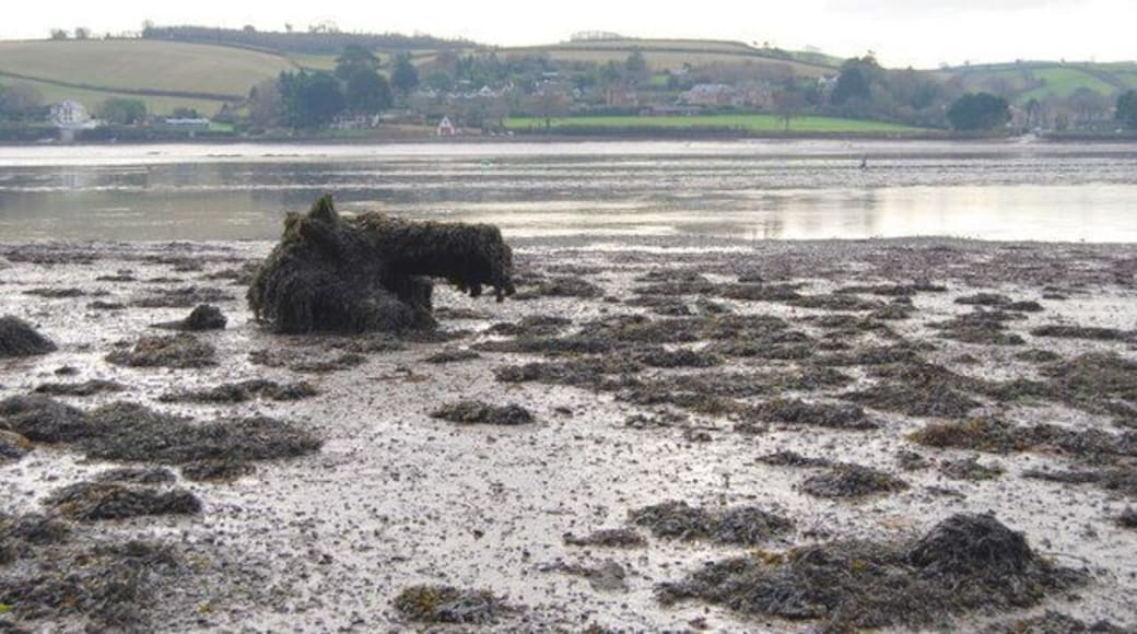 River Teign Debris on the banks of the River Teign.