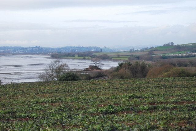 Teign Estuary looking west A view of the Teign estuary from the Bishopsteignton to River Teign footpath.