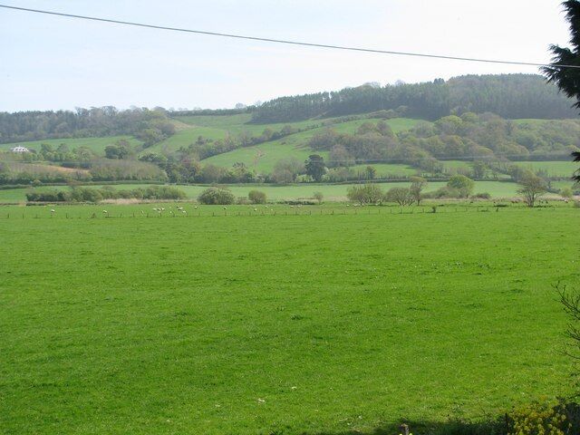 Fields at Colyford