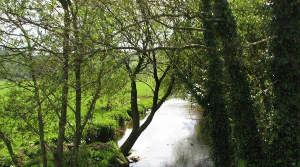 River Coly at Colyford
