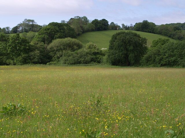 Holyford Brook valley A view across a gently sloping meadow to the steeper south side of the valley. Taken from Colyton Footpath 35, which here runs further to the north than as shown on the maps.