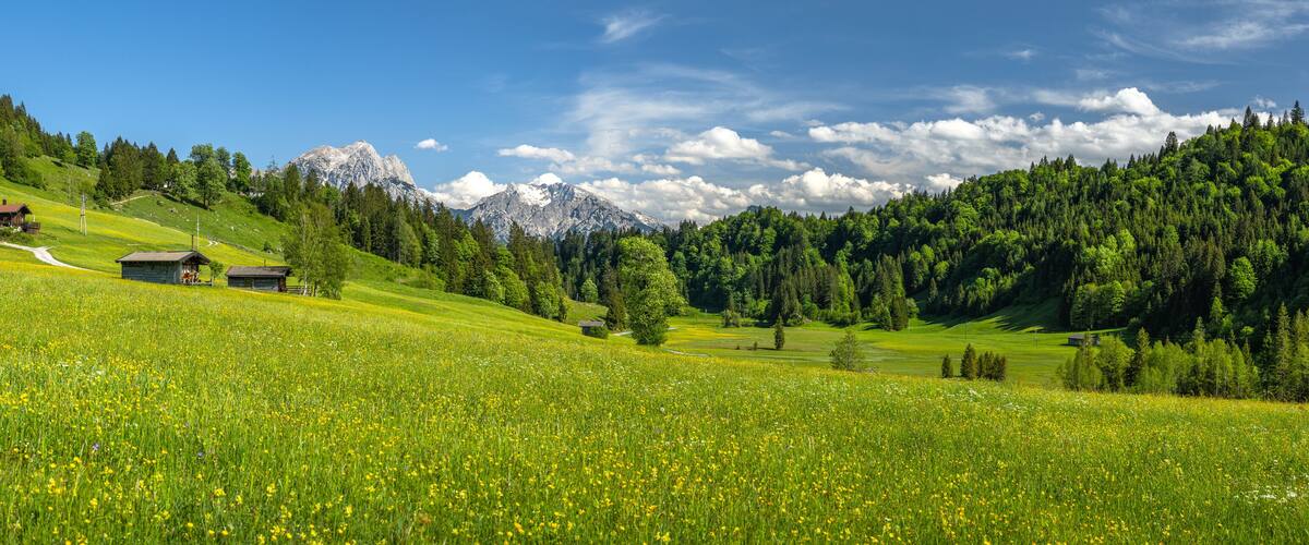 A green meadow with yellow flowers, a wooden cabin, and a mountain range in the background.