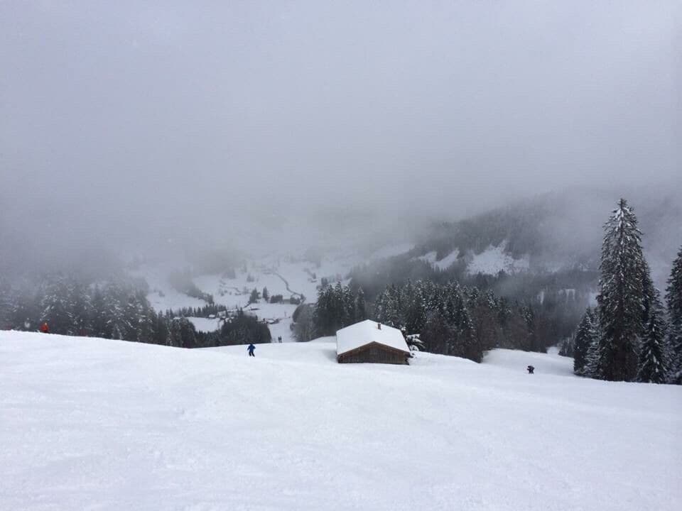 ⛷