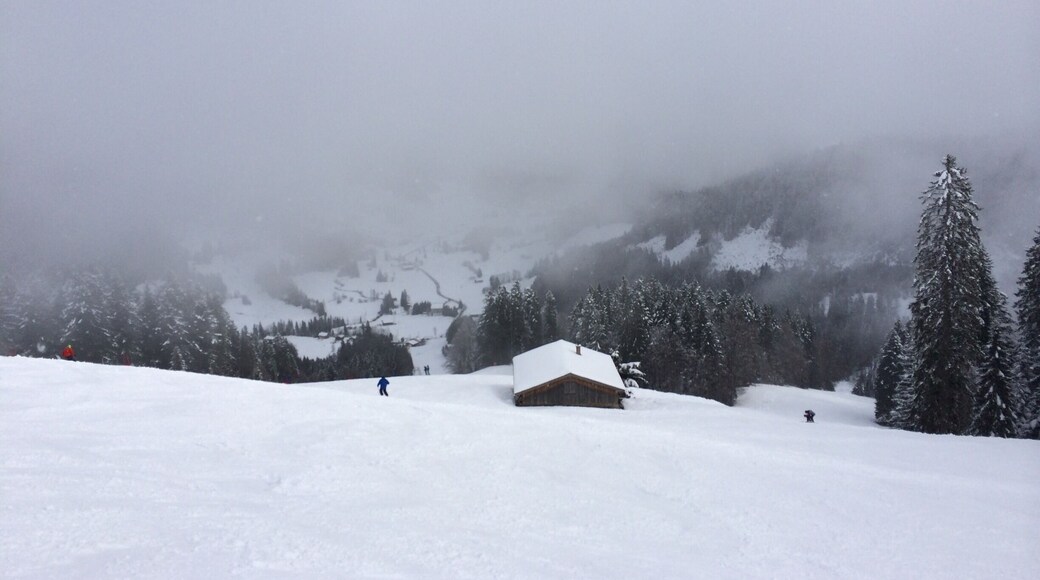 First day of Ski racing!