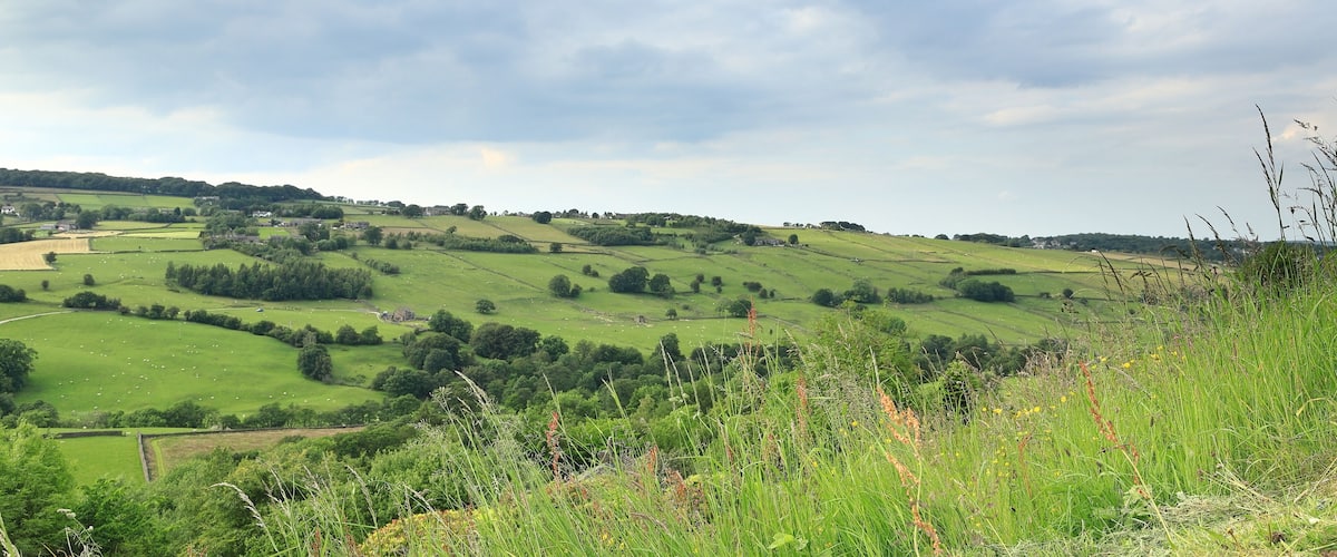 Rolling green hills, scattered trees, and a cloudy sky.