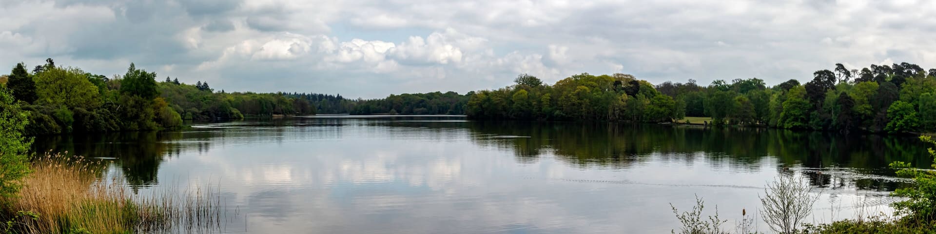 A calm lake surrounded by dense forest under a cloudy sky.