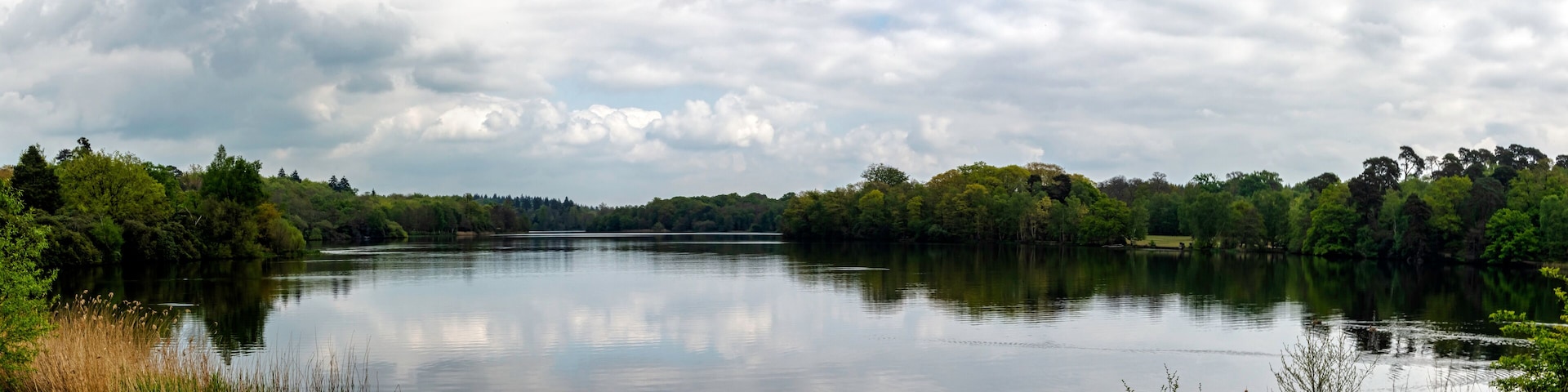 Un lago tranquilo rodeado de un bosque denso bajo un cielo nublado.