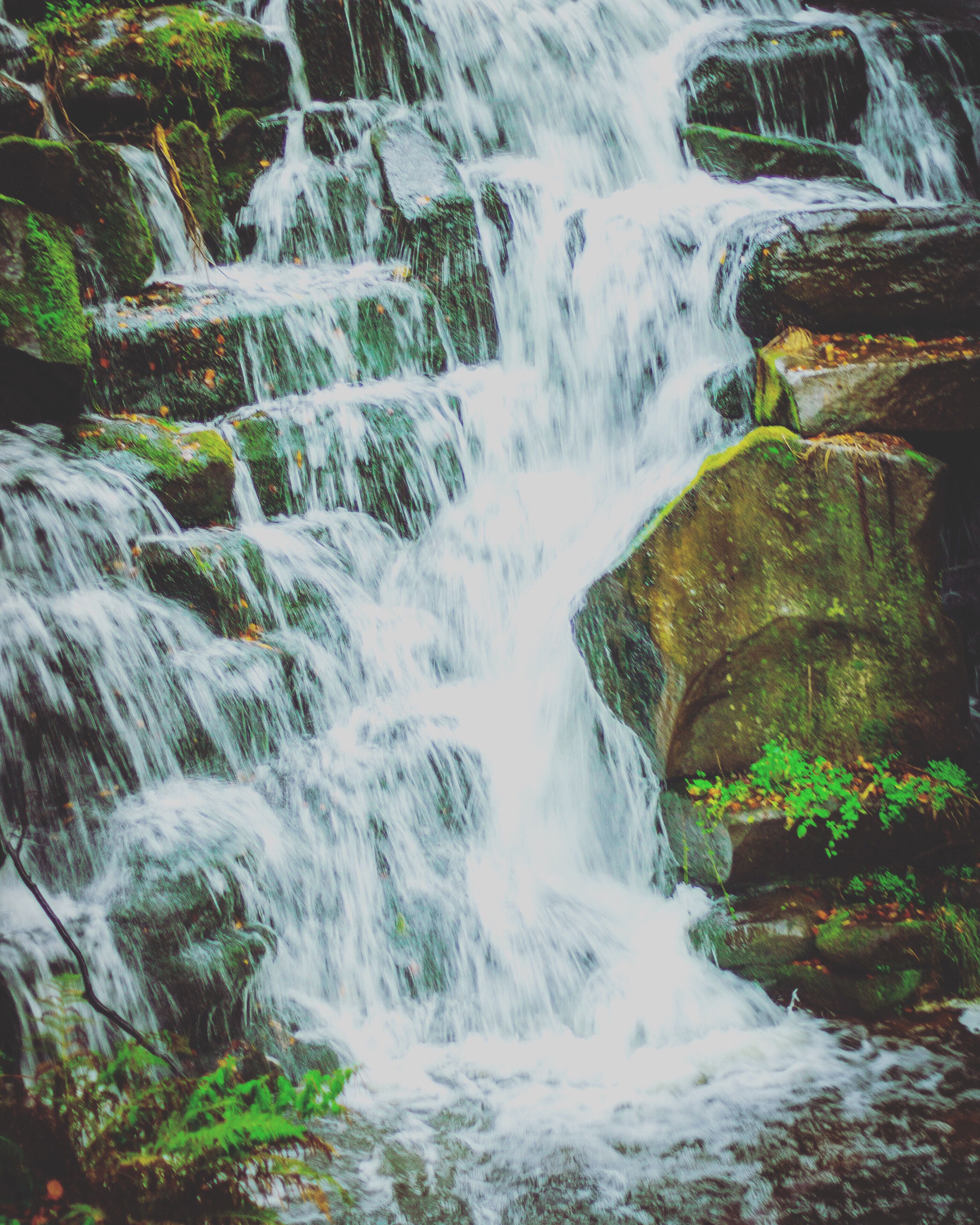 ISO 100
SS 1/25
Aperture 1.8
Using a canon EOS2000D 
50 mm lens hand held capture.