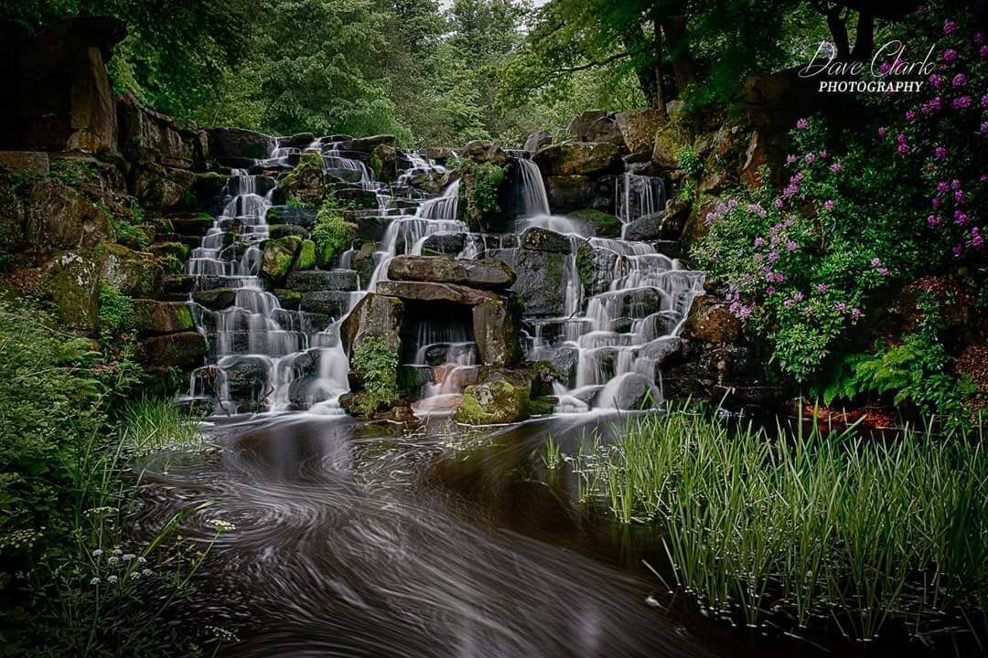 Cascade at Virginia water.  Easily accessible and a great walk around the lake. Parking is costly 😕