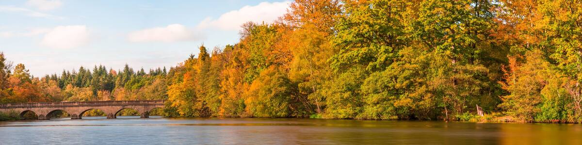 Panoramic view of a lake in Virginia Water, Surrey, UK