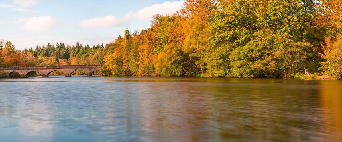 Panoramic view of a lake in Virginia Water, Surrey, UK