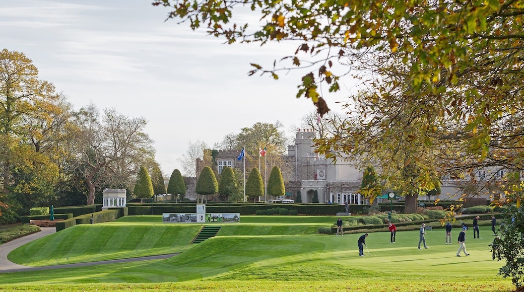 October 2014
The world famous Wentworth Golf Club as frequented by several well known UK personalities is the most impressive golf club I have visited.
I was commissioned for a photo shoot here and I had a great day. For all those keen golfers out there, if you get chance to play a round of golf here, you'll love the course.