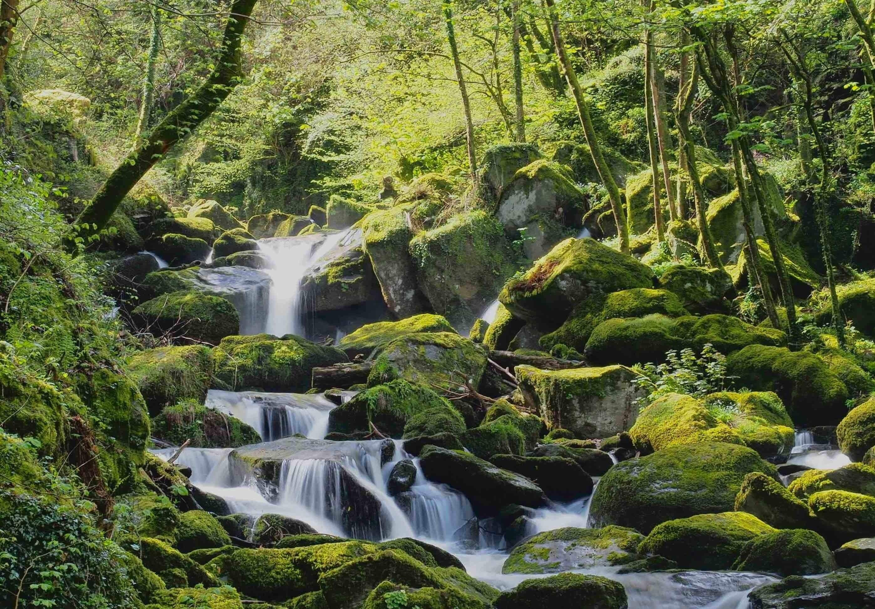Take a trip up the Gorge in Lynmouth, great for slow water shots.