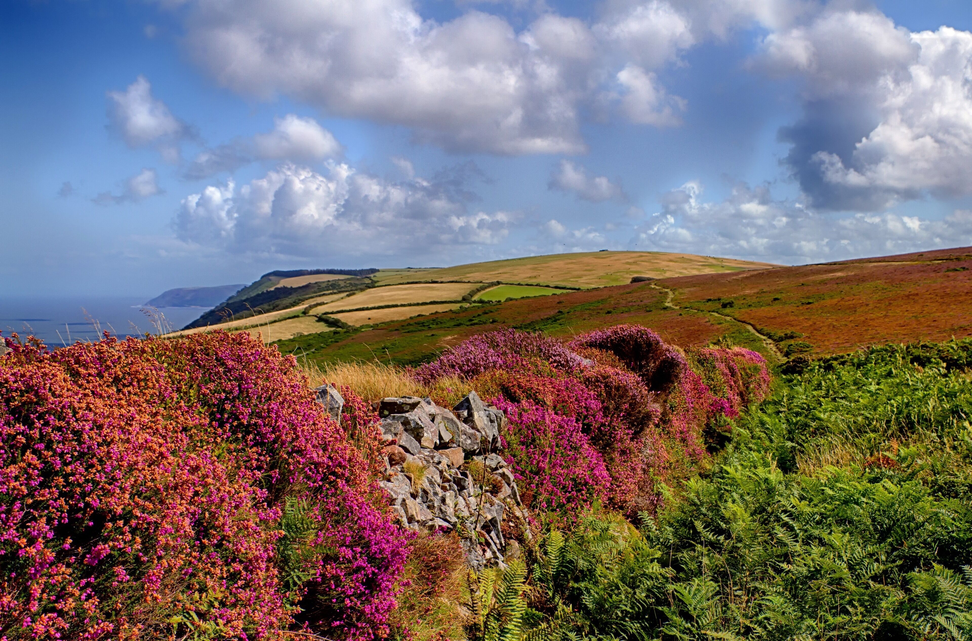 Exmoor is loosely defined as an area of hilly open moorland in west Somerset and north Devon in South West England. It is named after the River Exe, the source of which is situated in the centre of the area, two miles north-west of Simonsbath. Wikipedia