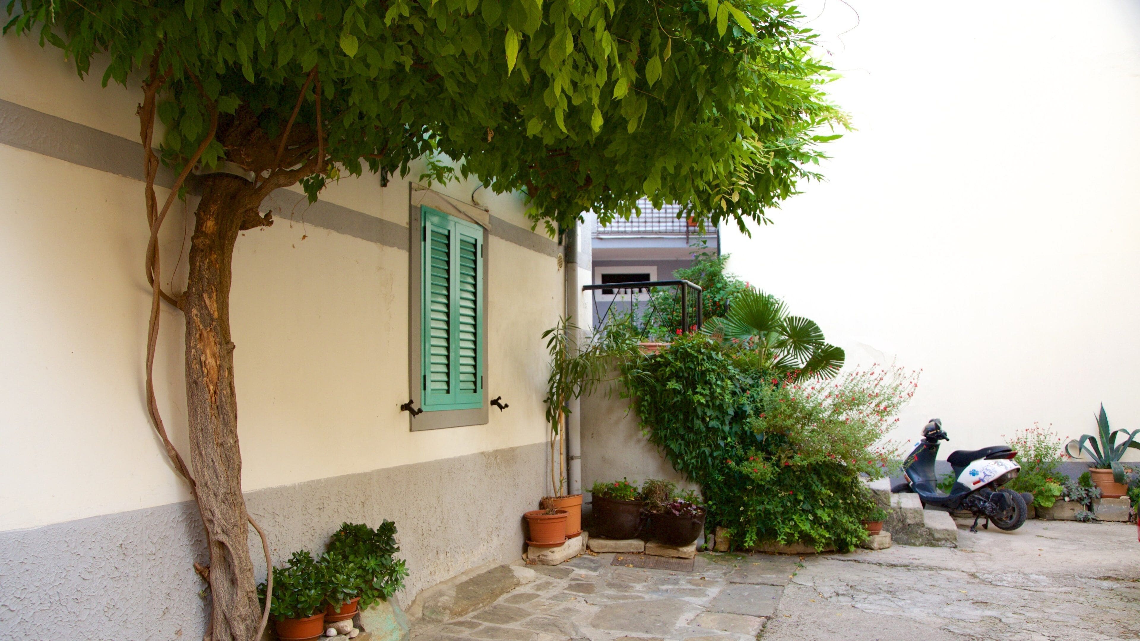 Izola featuring a coastal town