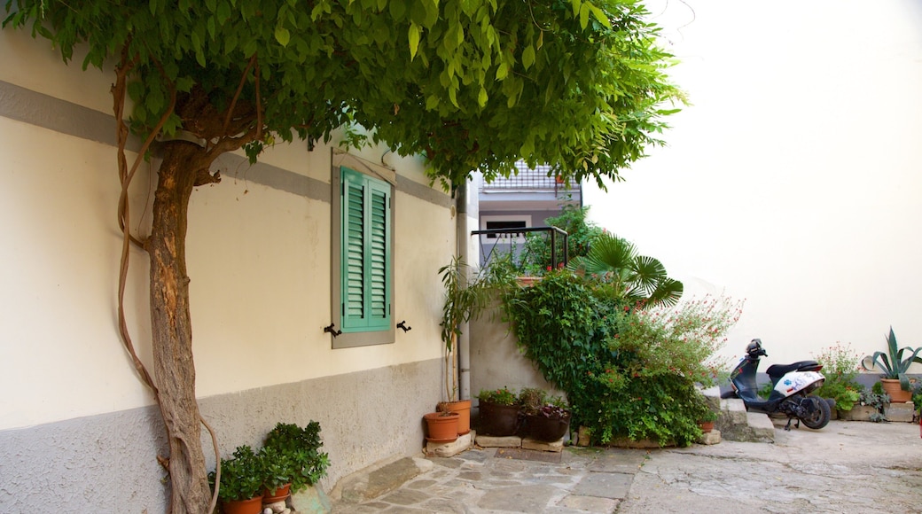 Izola featuring a coastal town