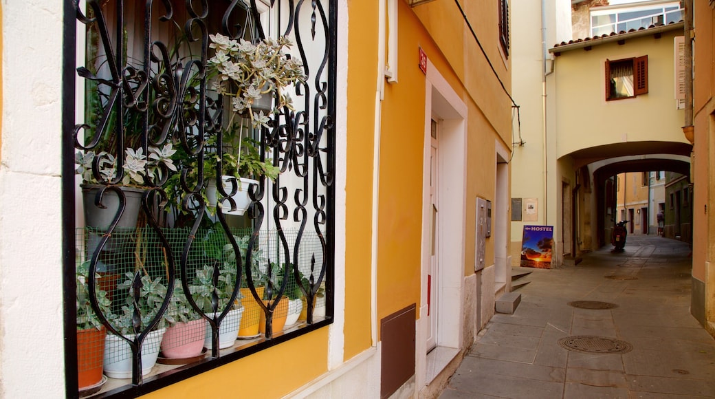 Izola