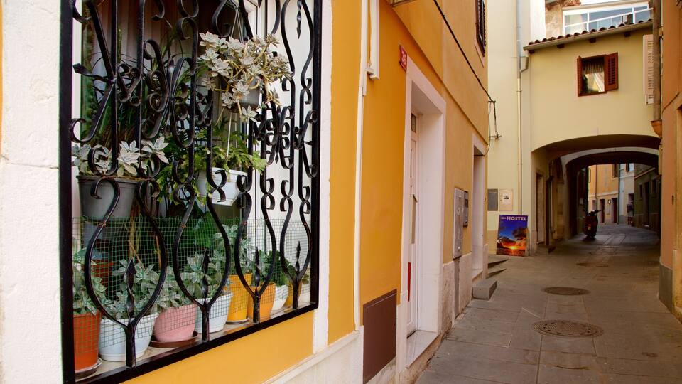 A narrow alley with yellow walls, a metal gate with plants, and a hostel sign.