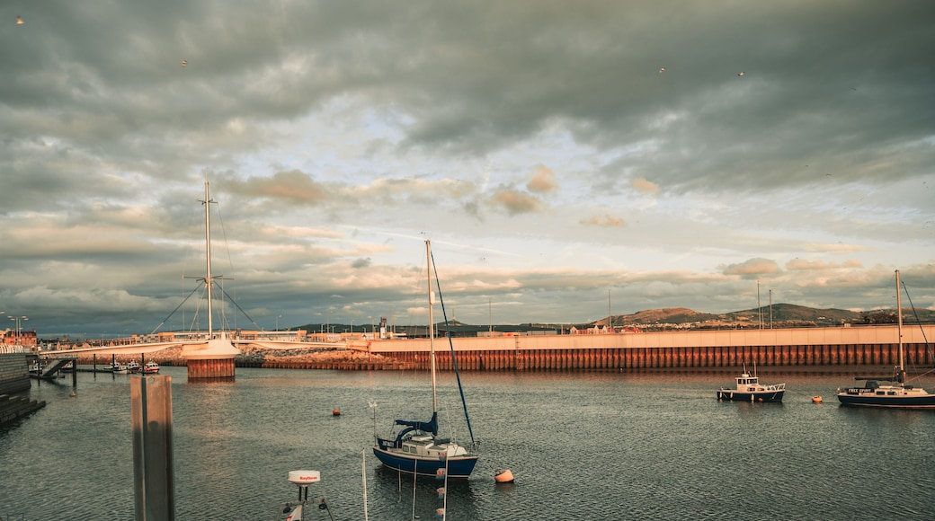 A harbor with boats, a bridge, and a cloudy sky.
